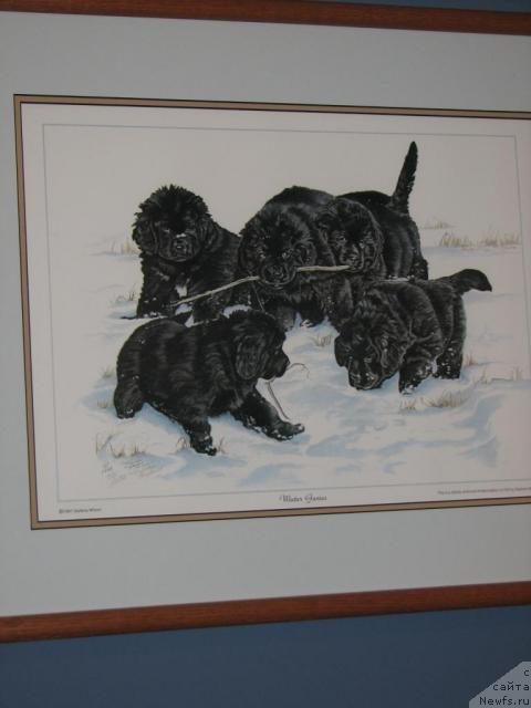 Фотография № 12611