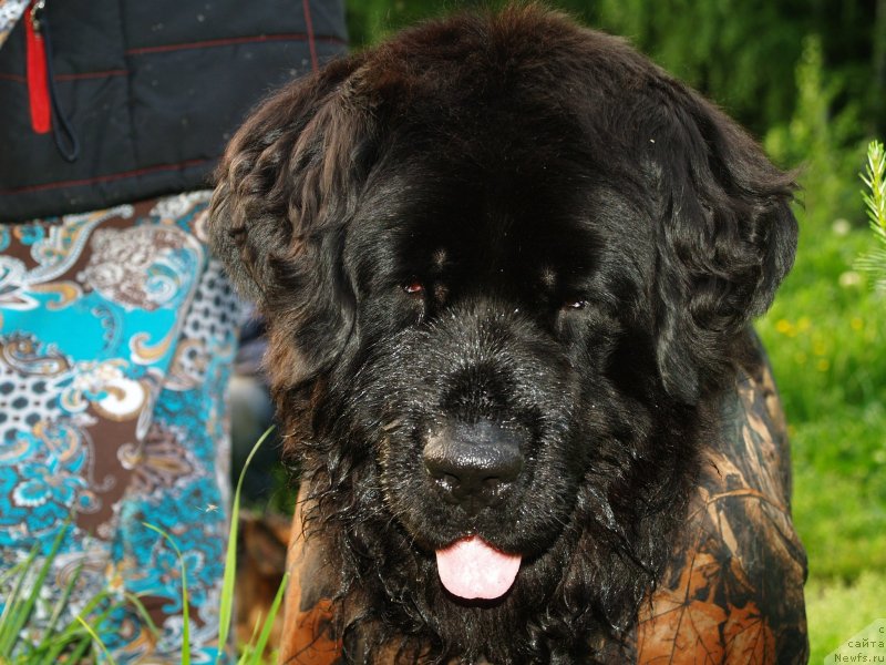 Фотография № 126116