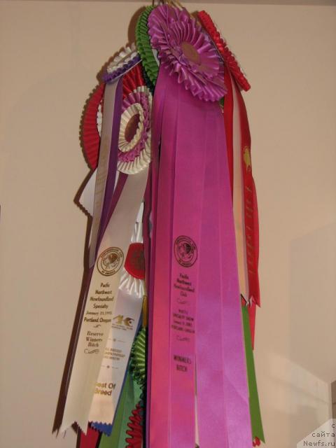 Фотография № 12612