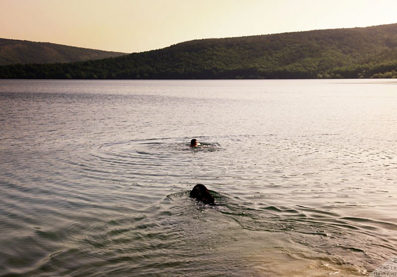 Фотография № 126121