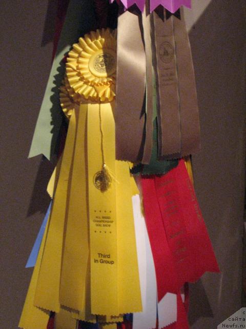 Фотография № 12613