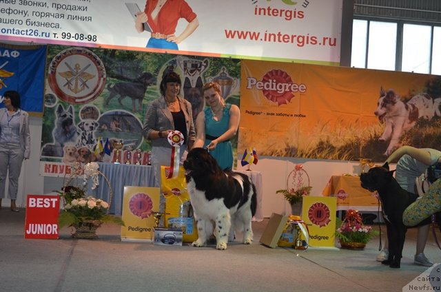 Фотография № 126174