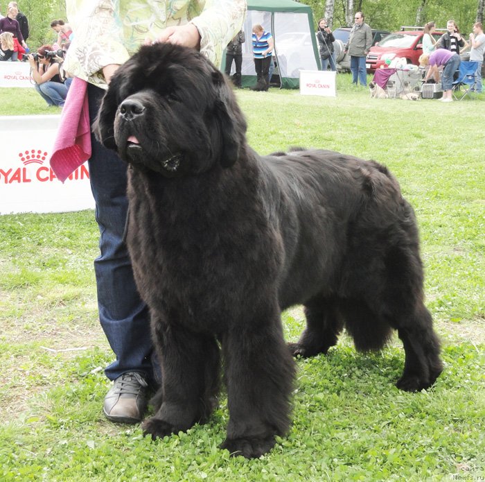 Фотография № 126186