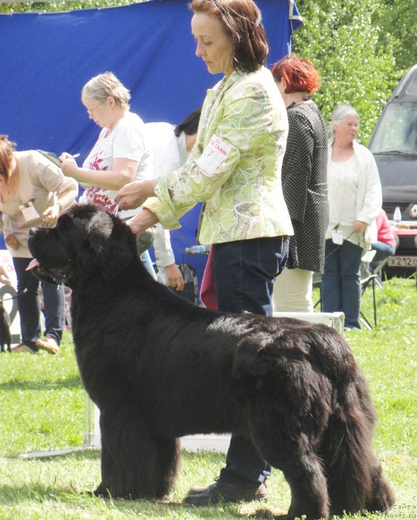 Фотография № 126187