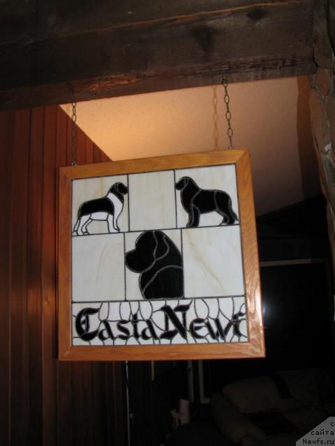 Фотография № 12621