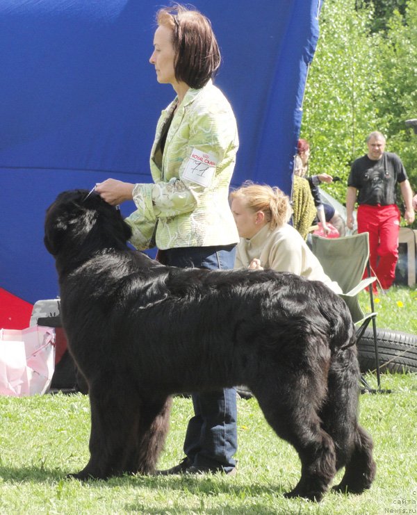 Фотография № 126224