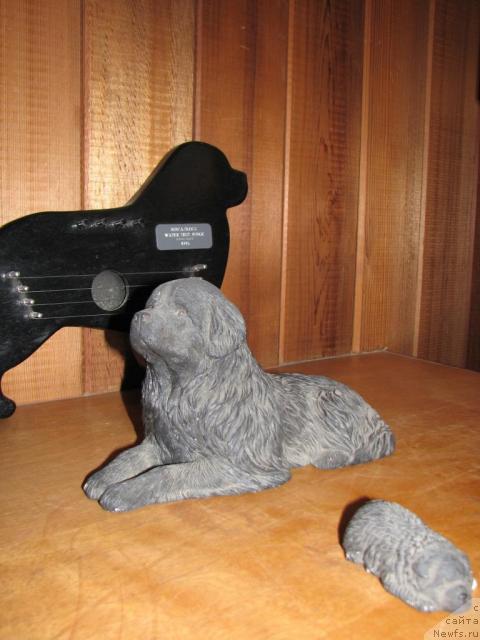 Фотография № 12623