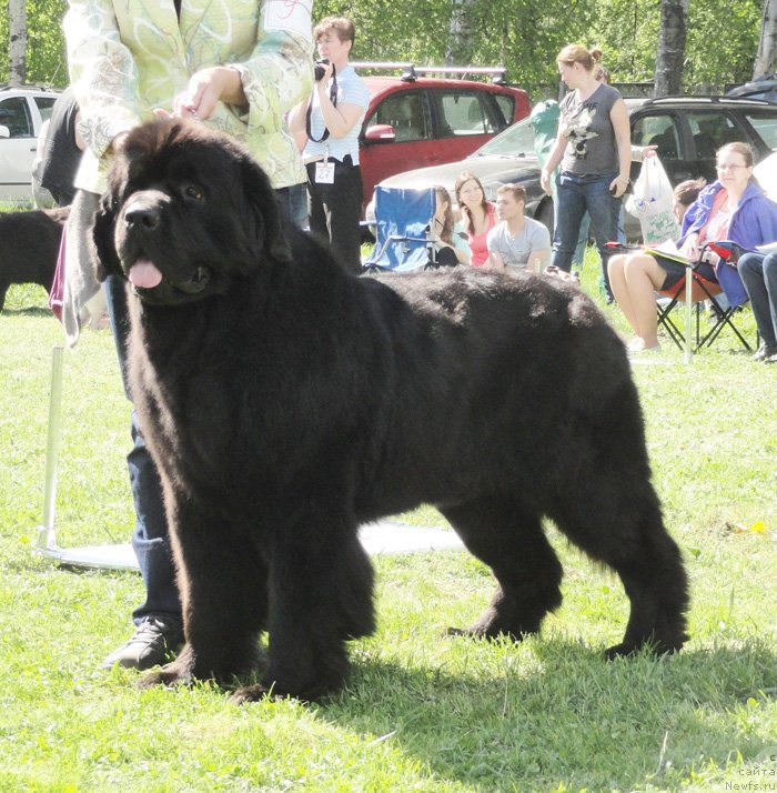 Фотография № 126235