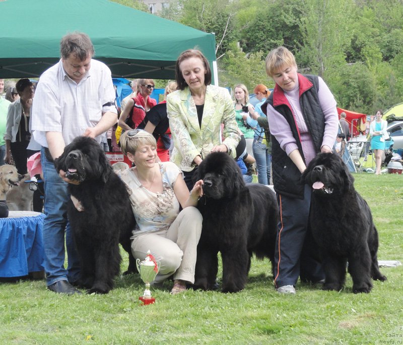 Фотография № 126244