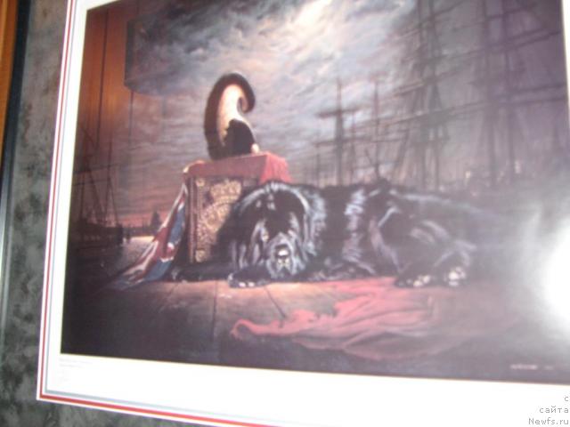 Фотография № 12625