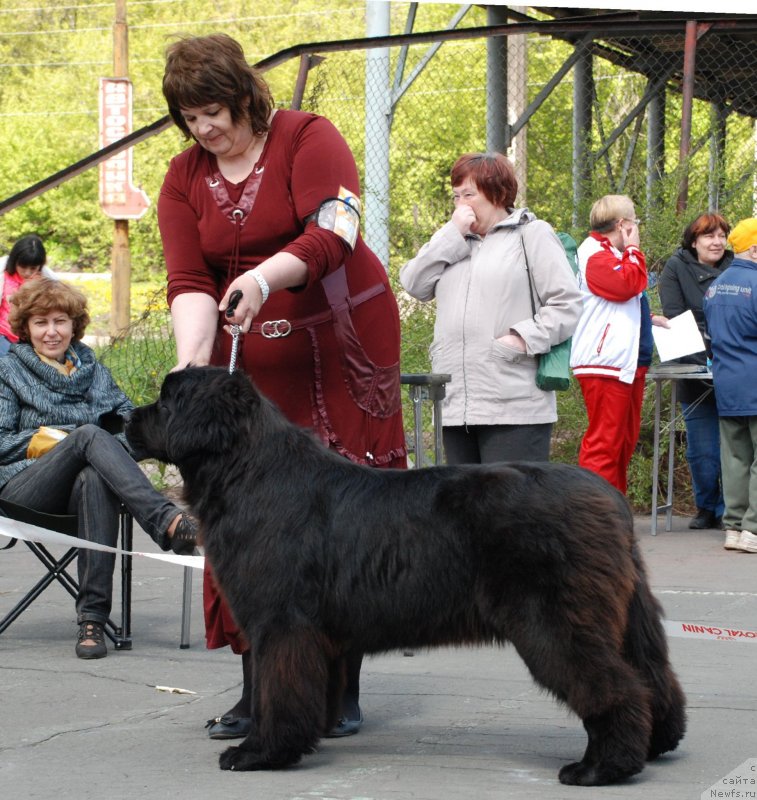 Фотография № 126252