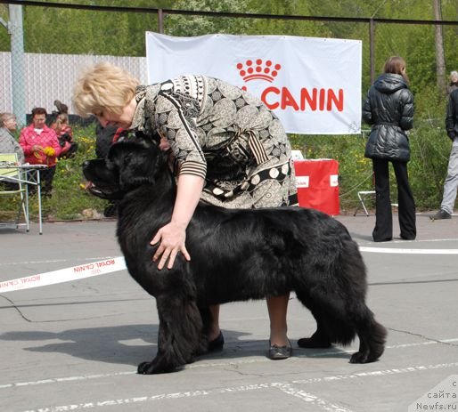 Фотография № 126253