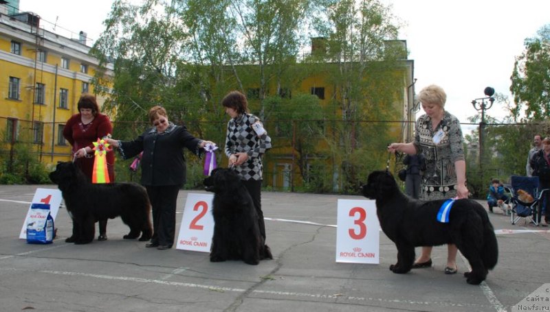 Фотография № 126255