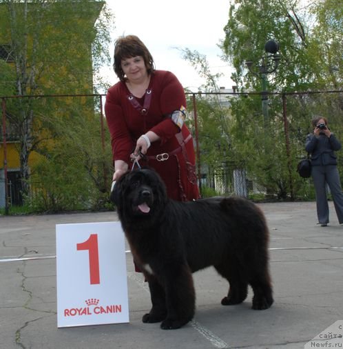 Фотография № 126256