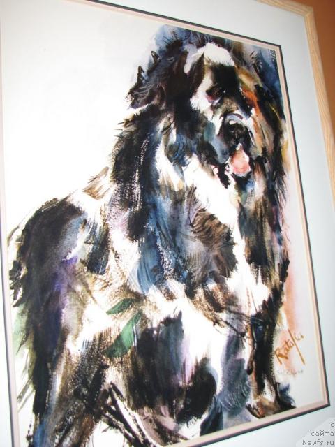 Фотография № 12626