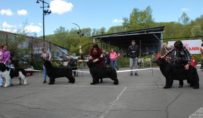 Фотография № 126261