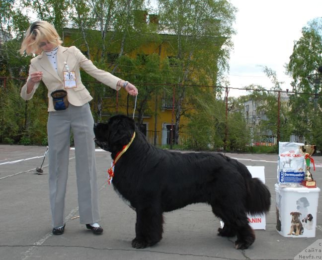 Фотография № 126262