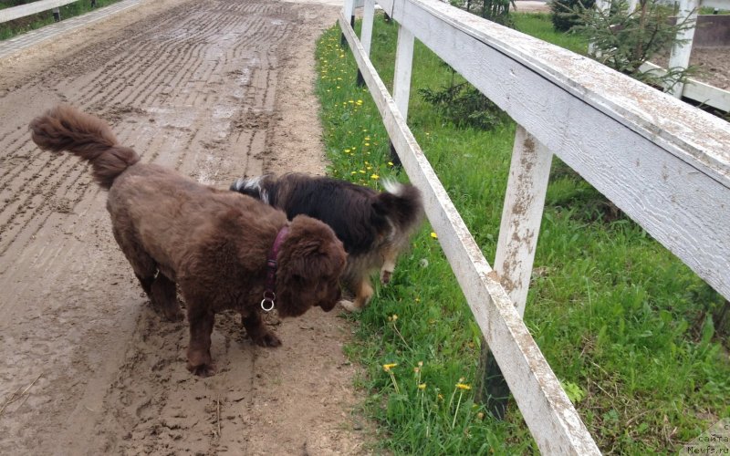 Фотография № 126275