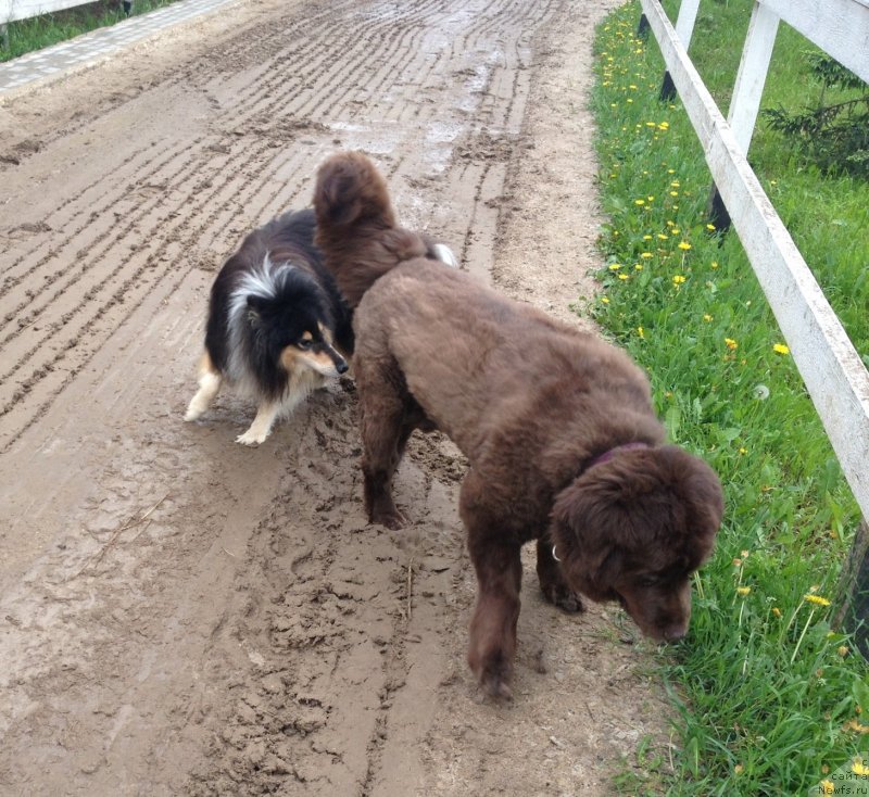 Фотография № 126276