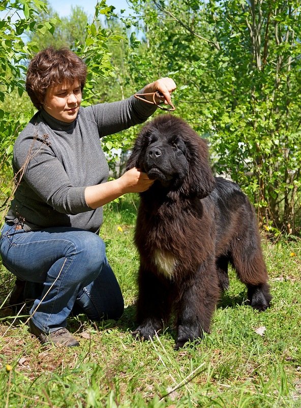 Фотография № 126283