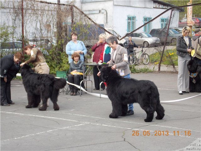 Фотография № 126308