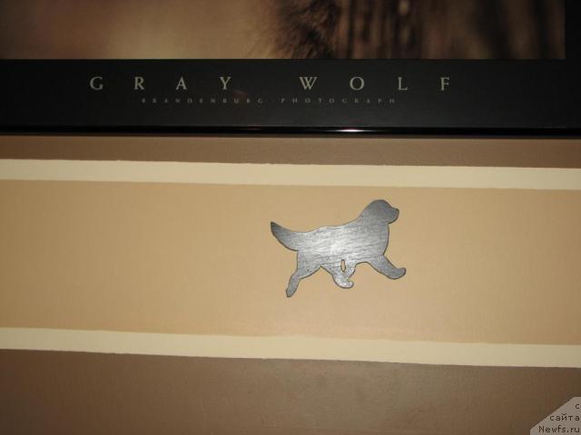 Фотография № 12631