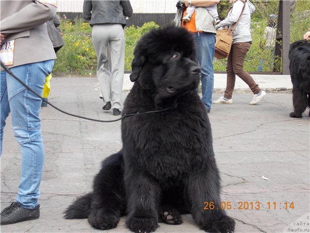 Фотография № 126313