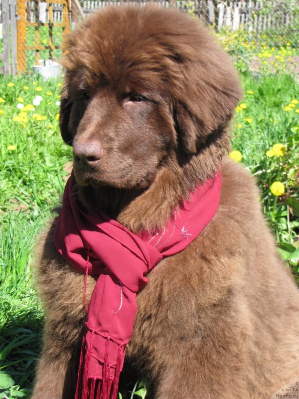 Фотография № 126318