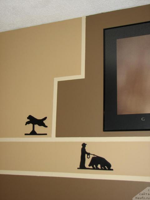 Фотография № 12632