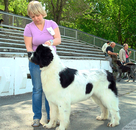Фото: Маг Исполин Мода Макси, Елена Горбунова
