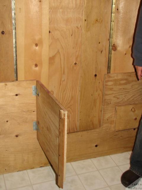 Фотография № 12633