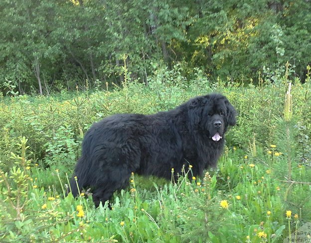 Фотография № 126371