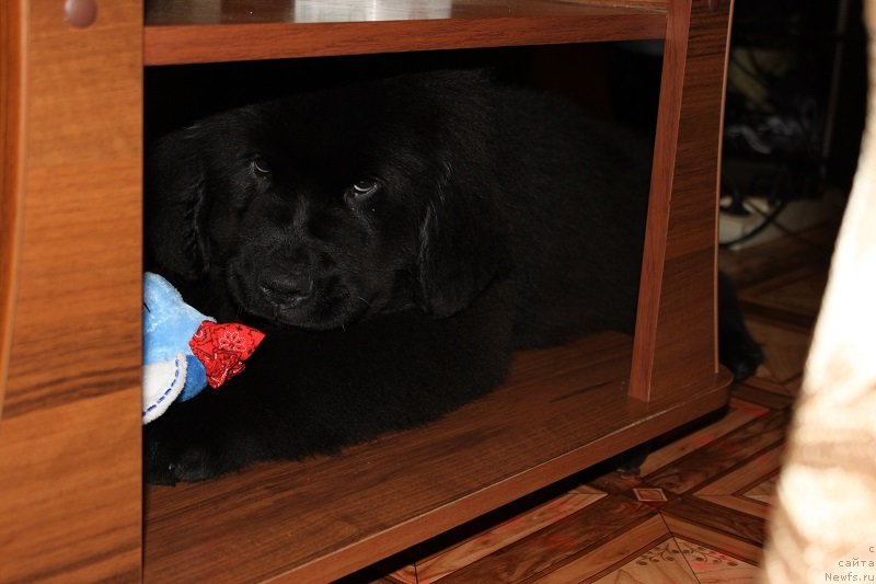 Фото: [d12420] 3 мес 5 дней