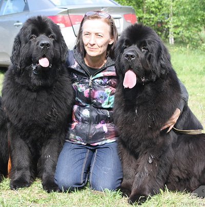 Фотография № 126389