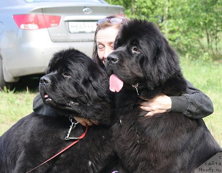 Фотография № 126391