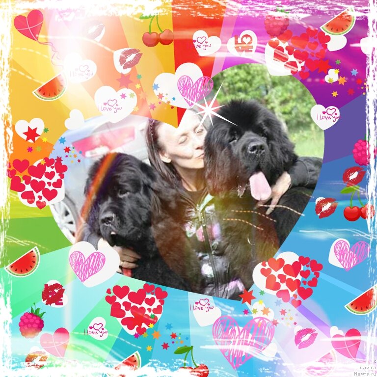 Фото: ньюфаундленд Бегущая по Волнам Зефирин Друэн (Beguschaya po Volnam Zephirine Drouhin), Ольга Королева, ньюфаундленд Бегущая по Волнам Дансинг Квин (Beguschaya po Volnam Dancing Queen)