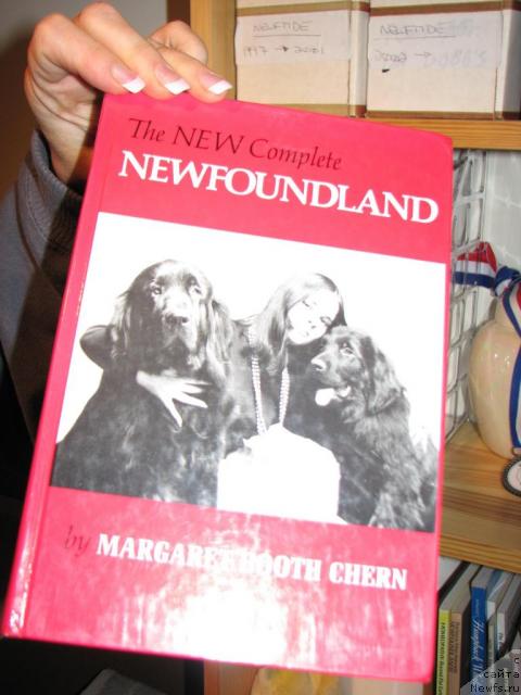 Фотография № 12640