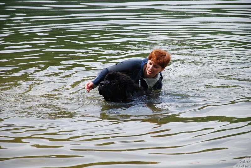 Фотография № 126419