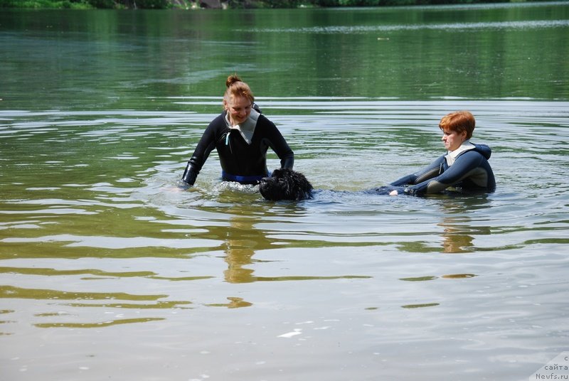 Фотография № 126421