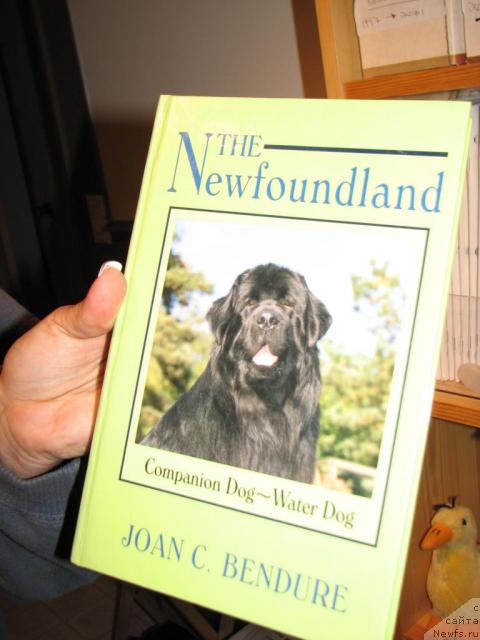 Фотография № 12643