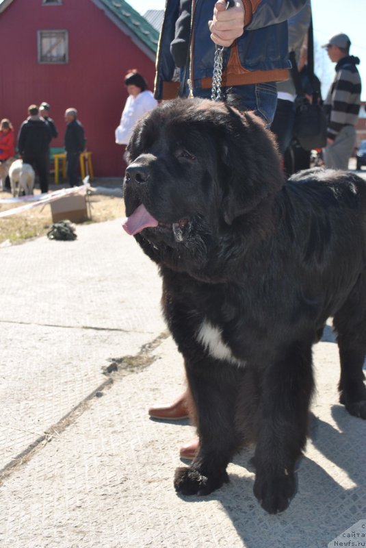 Фотография № 126435