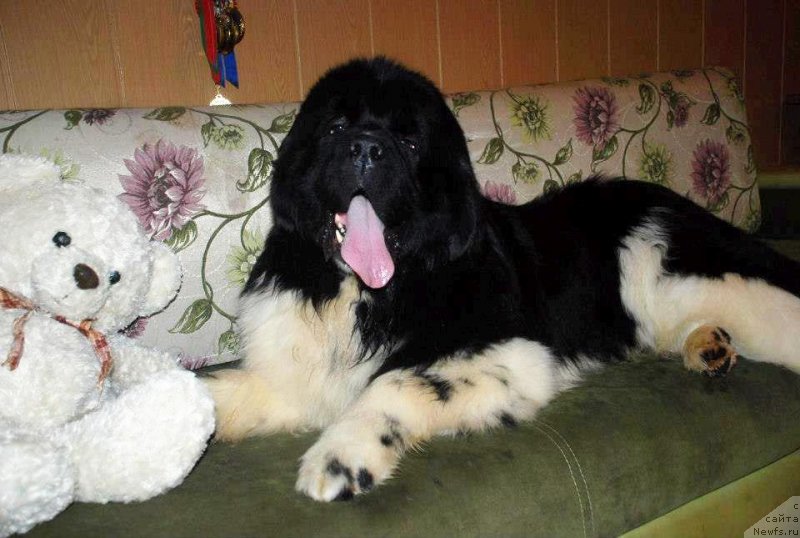 Фотография № 126449