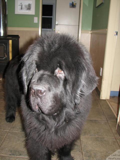 Фотография № 12645