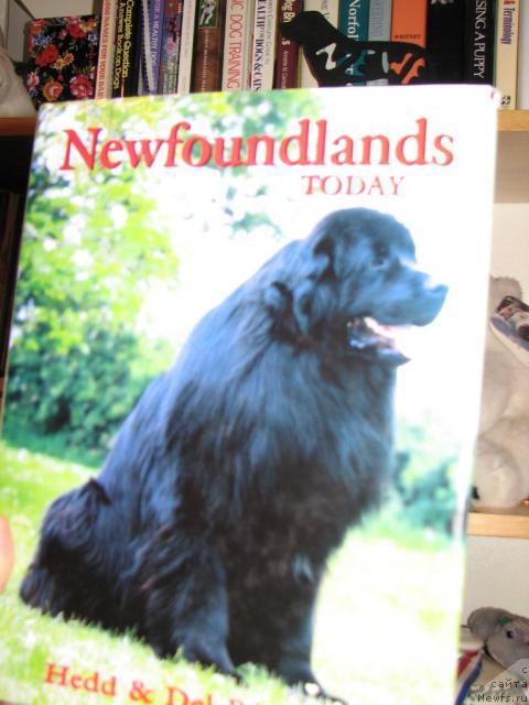 Фотография № 12648