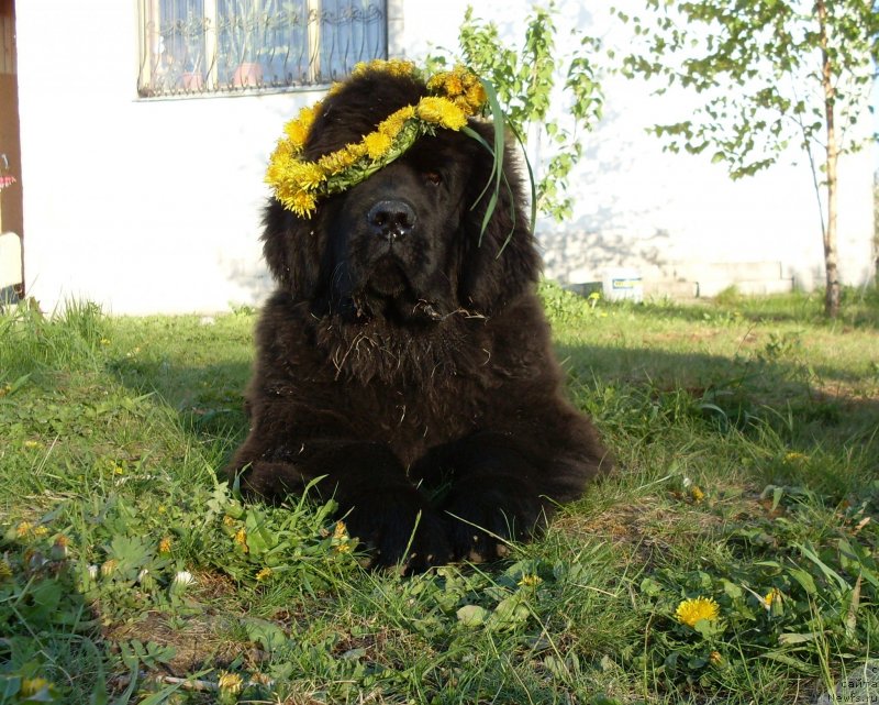 Фотография № 126489