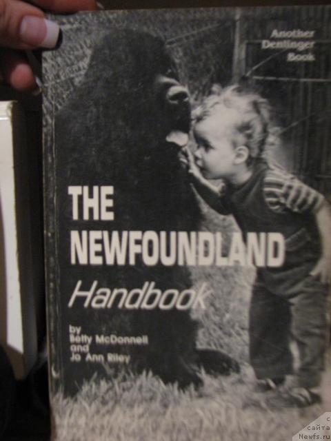 Фотография № 12649