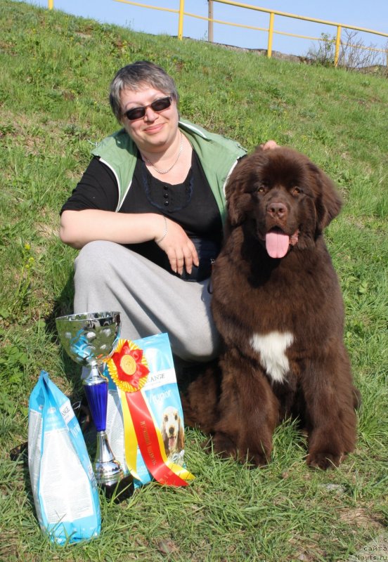 Фото: ньюфаундленд Акватория Келвин Хизер Хани (Aquatoriya Kelvin Heather Honey), Екатерина Бенкен