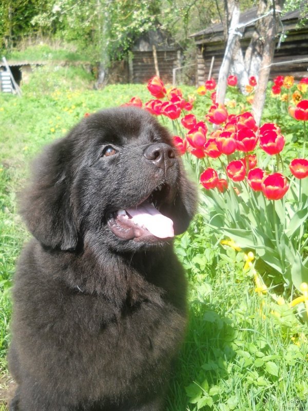 Фотография № 126507