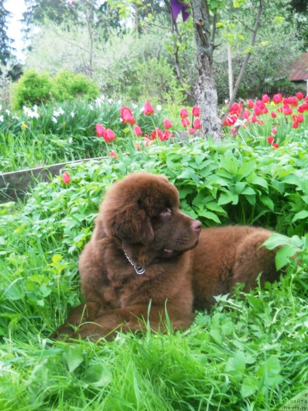 Фотография № 126508