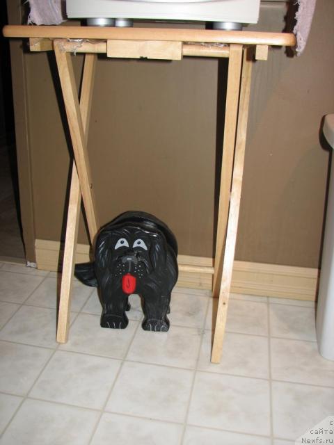 Фотография № 12652